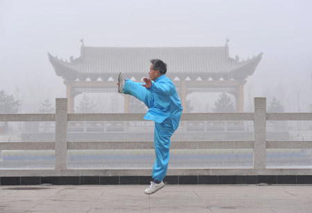 Local resident Cai Zengshao practises Chinese kungfu in fog at the Forest Park in Yinchuan, capital of northwest China's Ningxia Hui Autonomous Region, Feb. 3, 2009. (Xinhua/Wang Peng)