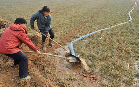 People irrigate the wheat field at Xindian Village in Luoyang, a city in central China's Henan Province, Jan. 4, 2009. Drought has hit most of Henan Province, one of China's key wheat producing regions, due to lack of rainfall since last October. [Guo Shasha/Xinhua]