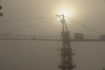 A crane is wrapped in fog in Qionghai City, south China's Hainan Province, Feb. 4, 2009. [Meng Zhongde/Xinhua]