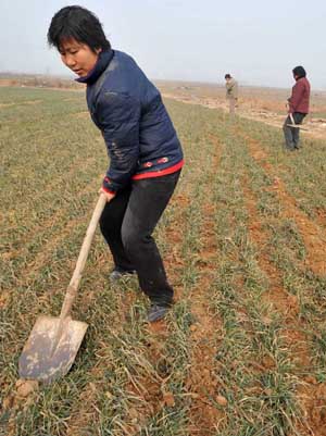 People make preparations for irrigating the wheat field at Xindian Village in Luoyang, a city in central China's Henan Province, Jan. 4, 2009. Drought has hit most of Henan Province, one of China's key wheat producing regions, due to lack of rainfall since last October. [Guo Kangkang/Xinhua]