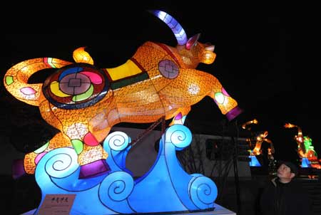 A man takes a look at an Ox-shaped lantern in Wuhan, capital of central China&apos;s Hubei Province, Feb. 4, 2009. Lanterns in the city are ready for the upcoming Lantern Festival, the 15th of the first month of the Chinese lunar calendar. (Xinhua/Cheng Min)