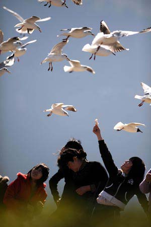 Girls enjoy the spring sunshine as a bevy of red-beaked gulls hovering above in Kunming, capital of southwest China's Yunnan Province, Feb. 4, 2009. [Xinhua/Qin Qing] 
