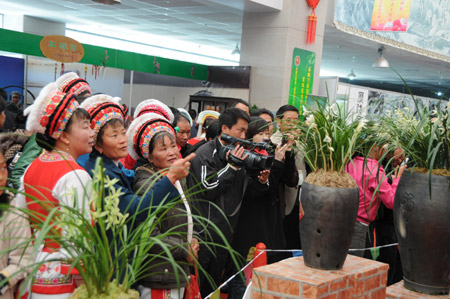 Visitors view orchid during the second international orchid and camellia expo in Dali, a city in southwest China's Yunnan Province, Feb. 5, 2009. The expo was opened in Dali on Thursday, with the participation of more than 30 Chinese and foreign cities. (Xinhua/Pu Chao)