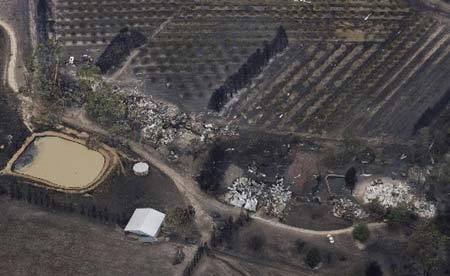 Photo taken on Feb. 8 shows the aftermath of a bushfires which started in Victoria state in south Australia. 