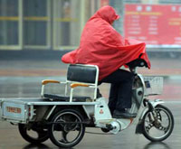 Rainfall eases drought in Shandong 