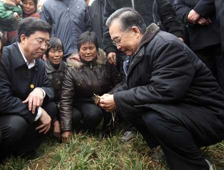 Chinese Premier Wen Jiabao (R Front) inspects the growth of wheat at Yangbei Village of Fanggang Township in Yuzhou City, central China's Henan Province, Feb. 7, 2009. Premier Wen inspected the anti-drought work in Henan, one of China's key wheat producing regions, on Feb. 7-8. [Xinhua] 