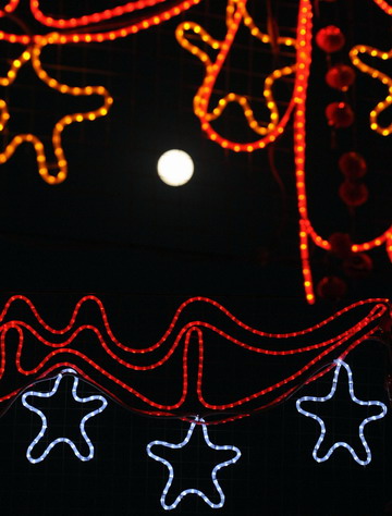 A full moon is seen in Beijing February 9, 2009. The moon on Monday night is supposed to look the biggest and brightest in all the Lantern Festivals since 1957. [Photo: Xinhua]