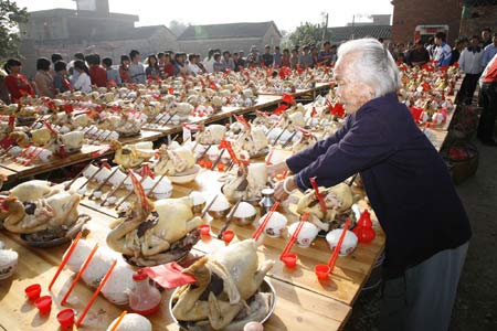 An old woman villager adjusts plates of chickens at a traditional chicken banquet dedicated to the God of Heaven ahead of the Lantern Festival at a village in Zhanjiang,south China's Guangdong Province Feb. 8, 2009. 