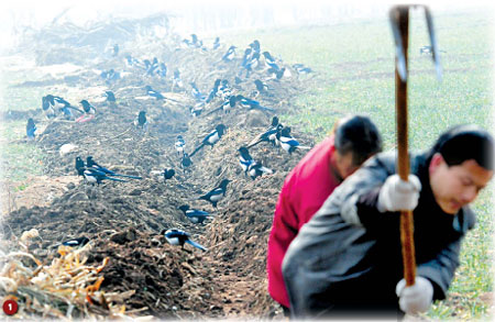 Farmers dig a channel to draw water into their field last week in Xijie village, Henan province. The drought has severely affected local people's daily life. [Gao Shanyue/China Daily] 