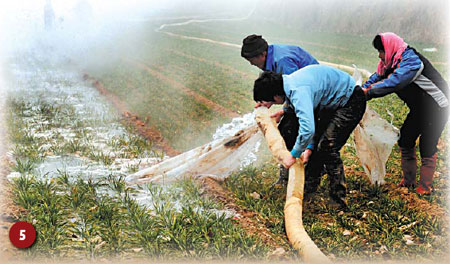 Villagers in Mengjin county, Henan province, channel water into their wheat field last week. [Gao Shanyue/China Daily] 