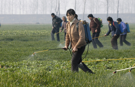 Farmers water wheat with a special equipment in Chenghe County of Xiangfan, central China's Hubei Province, Feb. 11, 2009. [Li Yunfei/Xinhua]