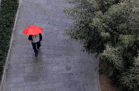 A man with umbrella against the rain walks in a park in Beijing, capital of China, on Feb. 12, 2009. Beijing welcomed its first rain in 111 days on Thursday morning, but experts say it was too little to end the city's lingering drought. [Li Wen/Xinhua]