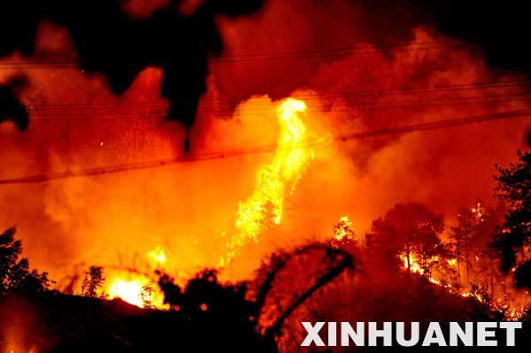 Flames and smoke rise from a bushfire in Shaxian County, 270 km from Fujian's capital Fuzhou on February 12, 2009. [Xinhua]