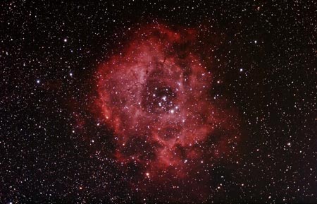 Rose nebula 