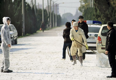 Epidemic-control workers yesterday spread lime to disinfect a road near Shanghai's Wusi farm, where 41 cows showed symptoms of foot-andmouth disease. [Pei Xin/Shanghai Daily] 