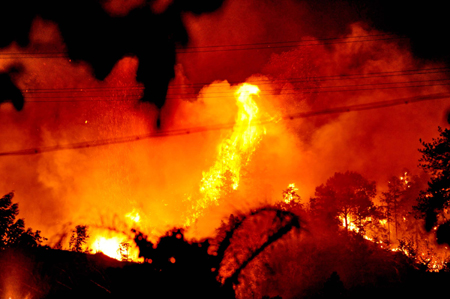 Photo taken on Feb. 12, 2009 shows the forest fire at Qingzhou Township of Shaxian County, southeast China's Fujian Province. A forest fire breaking out at about 12:30 p.m. local time on Thursday in Shaxian County, 270 km from Fujian's capital Fuzhou, was driven by wind toward villages along National Highway No. 205. The cause of the fire was under investigation. (Xinhua/Zhang Guojun)(