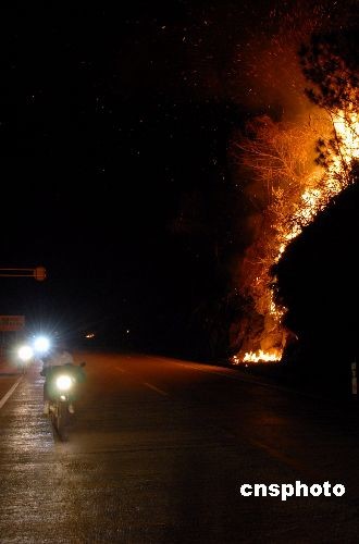 Photo taken on Feb. 12, 2009 shows the forest fire at Qingzhou Township of Shaxian County, southeast China's Fujian Province. [cnsphotp]