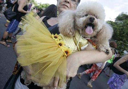 Carnival revellers walk with their costumed dogs during pre-carnival festivities in an afternoon presentation along Copacabana beach in Rio de Janeiro February 15, 2009.[Xinhua/Reuters]