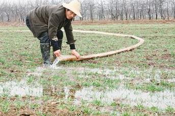 Rainfall and irrigation have brought some relief to drought-hit areas in northern China over the last few days. 