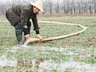 Rainfall and irrigation alleviates drought-hit areas in N China