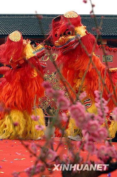 A lion dance is performed in Lincheng Township, Changxing County, east China&apos;s Zhejiang Province, Feb. 15, 2009. The fourth Lincheng plum blossom festival opened here Sunday. Lincheng is famous for its plum blossom industry. [Photo: Xinhuanet] 