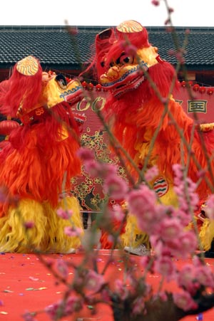 A lion dance is performed in Lincheng Township, Changxing County, east China&apos;s Zhejiang Province, Feb. 15, 2009. The fourth Lincheng plum blossom festival opened here Sunday. Lincheng is famous for its plum blossom industry. (Xinhua/Huang Shengang) 
