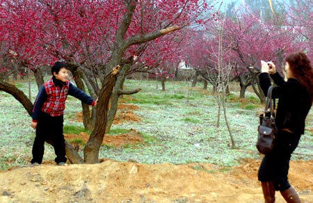 A mother and son take photos with plum blossoms in Lincheng Township, Changxing County, east China&apos;s Zhejiang Province, Feb. 15, 2009. The fourth Lincheng plum blossom festival opened here Sunday. Lincheng is famous for its plum blossom industry. (Xinhua/Huang Shengang)