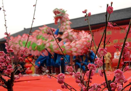 A dragon dance is performed by villagers in Lincheng Township, Changxing County, east China&apos;s Zhejiang Province, Feb. 15, 2009. The fourth Lincheng plum blossom festival opened here Sunday. Lincheng is famous for its plum blossom industry. (Xinhua/Huang Shengang)