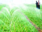 Measures taken to fight drought