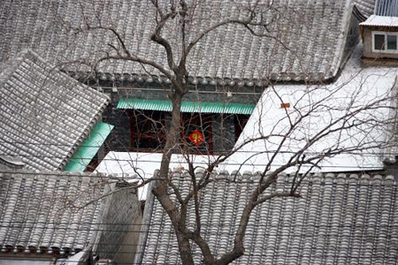 Snow is seen on roofs in Beijing, capital of China, Feb. 17, 2009. [Xinhua]