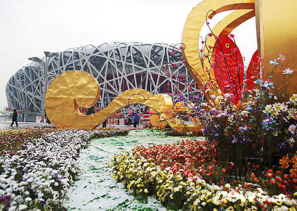 Snow is seen in 'Bird's Nest' in Beijing, Capital of China, Feb. 17, 2009. [Xinhua] 