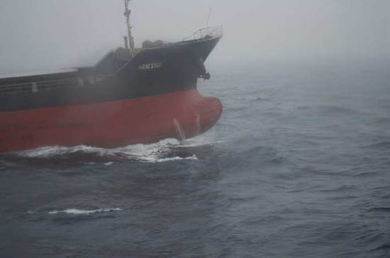 Seven Chinese sailors are missing after a Chinese cargo ship sank in Russian waters near Japan on Saturday Feb 14, 2009, the Foreign Ministry said Tuesday. According the International Maritime Organization, the owner of New Star is a shipping company of Zhejiang, while the operator is a company based in Guangzhou. [Sina.com.cn]