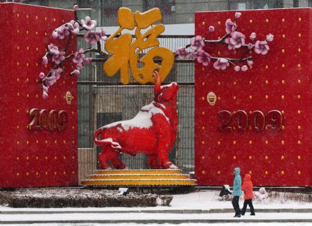 Two Chinese walk past an ox statue during a snowfall in the costal city of Dalian, northeast China's Liaoning Province, Feb. 18, 2009. Rain and snowfall have helped ease a severe drought in northern and eastern China. [Lv Wenzheng/Xinhua]