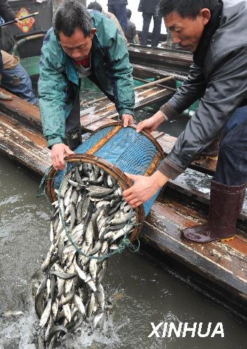 Millions of algae-eating fish fry were released into China's third largest freshwater lake, Taihu, on February 19, 2009, in a five-day campaign to curb the blue-green growth.