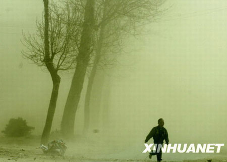 Photo taken on Feb. 11 shows a child dodges the blowing sand in Lhasa, capital city of southwest China's Tibet Autonomous Region. Lhasa enters the sand-blowing high frequency period in spring as a sand-blowing hit Lhasa Airport bringing inconvenience to public transport.