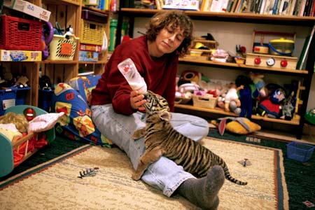 Jerusalem's Biblical Zoo veterinarian Nili Avni Magen feeds Sylvester, an 8-week-old Sumatran tiger cub, in her home in Zur Hadassa near Jerusalem February 20, 2009. 