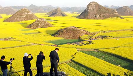 Chinese photography amateurs take pictures at Luoping county, southwest China's Yunan Province, Feb. 24, 2009. Luoping with its well-known scenery of rape in early spring attracts tourists across the world every year. [Feng Li/Xinhua]