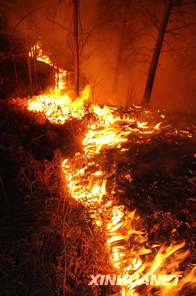 The fire began at about 2:30 p.m. and spread over 200 hectares in Longjiashan National Forest Park in Longli County, Guizhou Province. 