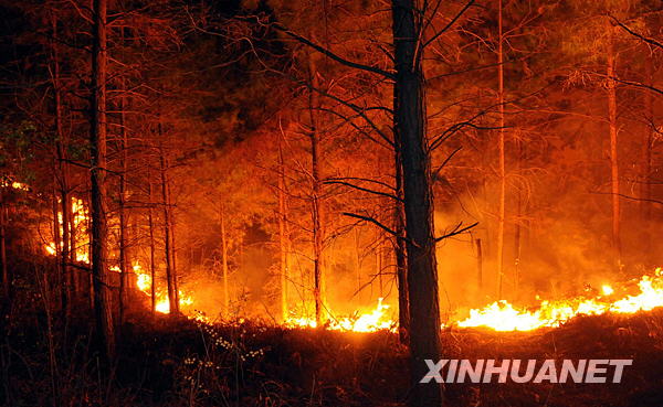 The fire began at about 2:30 p.m. and spread over 200 hectares in Longjiashan National Forest Park in Longli County, Guizhou Province.