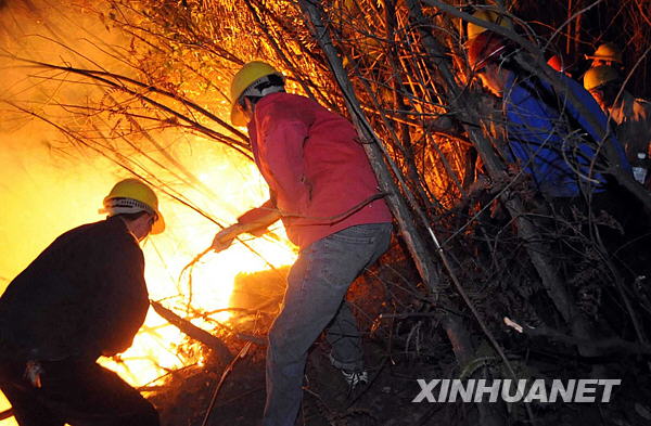 Residents were fighting the fire in Longjiashan National Forest Park in Longli County, Guizhou Province February 25, 2009.