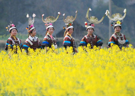 Women of Miao ethnic group walk in the rape field to take part in a gathering in Nangao Village of Danzhai County, southwest China&apos;s Guizhou Province, Feb. 24, 2009. An annual traditional festival was held here from Jan. 25 to 30 in the Chinese lunar calendar, in which people of Miao ethnic group gathered to sing and dance, greeting the coming of spring and ploughing.