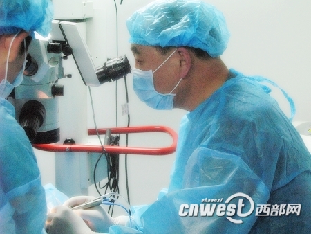 Meng Yong'an, head of the Xi'an Gucheng Eye Hospital, did the cataract removal surgery for an elderly giant panda Xiaoming on Dec. 20, 2008.