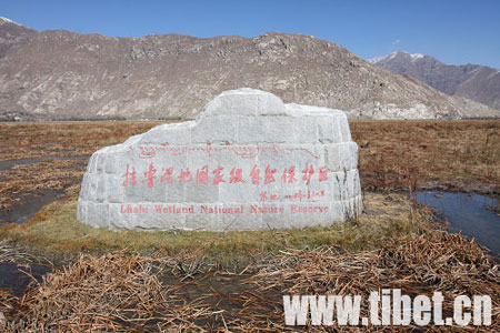 The Lhalu Wetland National Nature Reserve in north Lhasa is seen in this file photo. The Tibet Autonomous Regional Government has decided to spend 450 million yuan on environmental protection. [Xinhua] 