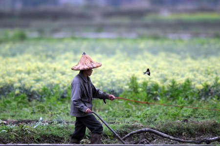 A man ploughs farmland in rain during the spring farming season in Chengtuan Town of Liujiang County, southwest China's Guangxi Zhuang Autonomous Region, March 3, 2009. [Huang Xiaobang/Xinhua] 