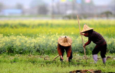 Local people work in their farmland in rain during the spring farming season in Chengtuan Town of Liujiang Councy, southwest China's Guangxi Zhuang Autonomous Region, March 3, 2009. 