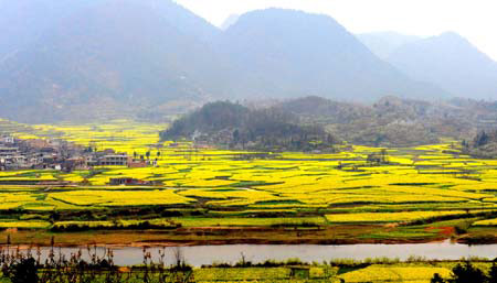 Photo taken on March 8, 2009 shows cole flowers in Guiding County, southwest China&apos;s Guizhou Province. Cole flowers have become an attraction to tourists to visit Guiding County in the spring. (Xinhua/Zhu Guoxian) 