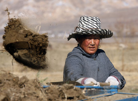 A Tibetan farmer works in the field in Dagze county near Lhasa, southwest China's Tibet Autonomous Region, March 11, 2009. As the weather gets warm, farmers in Tibet begin to prepare for the spring ploughing.