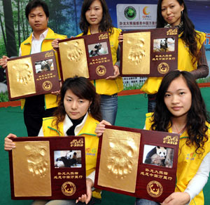  Staff members of Changlong Panda center display the footprints of pandas in Xianghe Wild Animal World in Guangzhou, south China