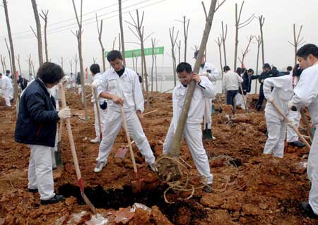  Volunteers of enterprises plant saplings in Wuhan, capital of central China's Hubei Province, Mar. 11, 2009.
