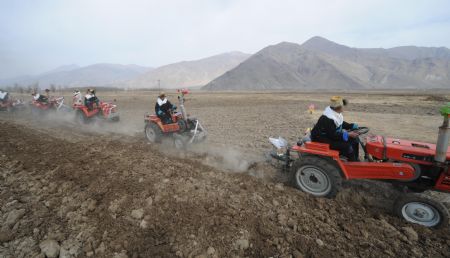 Villagers drive tractors in a row during a ceremony to mark the start of the spring farming season at Dagze County, southwest China's Tibet Autonomous Region, March 15, 2009. [Chogo/Xinhua]